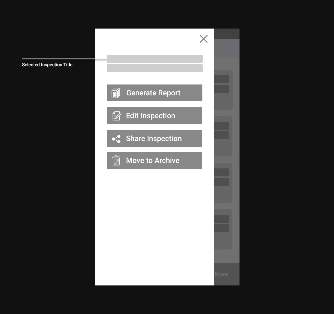 Inspection Option Wireframe